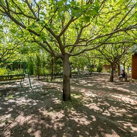 Likya Yanartas Bungalows * Çıralı