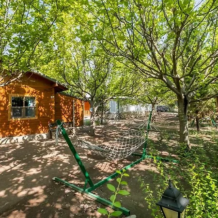 Likya Yanartas Bungalows * Çıralı