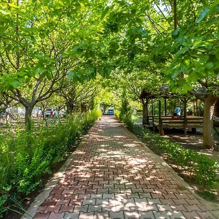 Likya Yanartas Bungalows * Çıralı